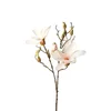 MAGNOLIJA