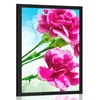 Plakat cvet naglja - 40x60 black