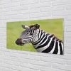 tulup.si Steklena slika Prehod za pešce 140x70 cm 2 obešalnika