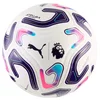 Puma Žoga Premier League 08511001