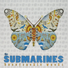 The Submarines Honeysuckle Weeks (RSD) (Vinyl LP)