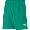 Puma Kratke hlače teamRISE Short Jr