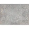 artgeist Fototapeta Gray Of Nature, 150x105cm