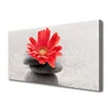 tulup.si Slika na platnu Gerbera cvet 120x60 cm