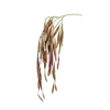 Umetna plezalka Rhipsalis 80cm - 76 do 100 cm