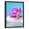 Plakat orhideja in Zen kamni - 60x90 no frame