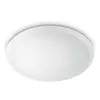 Plafonska lampa Philips Wawel 1 x 36 W 2700K - 6500K