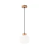 Viseći luster na sajli HARMONY 1xE27/15W/230V prečnik 20 cm bela/hrast