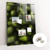 tulup.si Tabla magnetna Svež avokado 70x100 cm