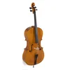 Violončelo 4/4 Concert Georg Walther Gewa