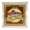 ERNIE BALL SET 2051 AK 12 strun