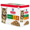 Hills Science Plan Feline Kitten Chicken & Turkey 12x85g