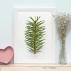 Wallity Zidna dekoracija BC7406288862, 24 x 29 cm, Šarena
