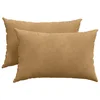 Vidaxl Blazine za kavč 2 szt. Rjava 60 x 40 cm Žametna tkanina