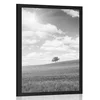 Plakat čudoviti sončni dan na travniku v črnobeli varianti - 40x60 no frame