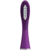 ISSA™ mini Hybrid Enchanted Violet