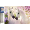 Norimpex - Puzzle Diamond Painting Zamilované kone 30x40cm - 1 - 39 kosov
