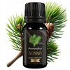 Črni bor iz Madžarske - naravno eterično olje za aromaterapijo 10 ml