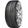 GRIPMAX Zimska guma 285/35R21 STATUS PRO WIN 105V