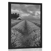 Plakat polje sivke v črnobeli varianti - 40x60 white