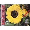 Akvarelni blok A4, prazen, 10 listov