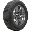 Dunlop Grandtrek PT30 ( 225/60 R18 100H)