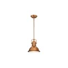 Westinghouse 6308440 - Luster na šipci BOSWELL 1xE27/60W/230V