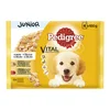 PEDIGREE Vlažna hrana za pse junior multipack piletina I govedina u želeu 4x100g