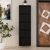 Hanah Home Cipelarnik, 50x169x15 cm, Crni