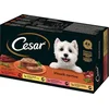 Klasična terina, različne sorte, 4 x 150g