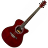 FLIGHT GUITARS F-230C WR akustična kitara