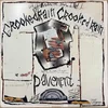 posneti mediji PAVEMENT - CROOKED RAIN - LP, (21008878)
