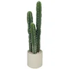 Homestar Umetna kaktus rastlina 95 cm zelena