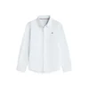 TOMMY HILFIGER Srajca  pastelno modra / bela
