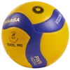 Mikasa V333W-DVV/VBL School Pro Training Ball