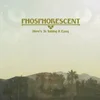 Phosphorescent - Heres To Taking It Easy (LP)