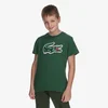 Lacoste Majica LCB PUFF TEE