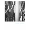 Cy Twombly. Rob McDonald. Studio Notes: My Time with Cy