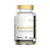 BiomeCell