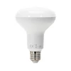 LED sijalica R90 E27/15W/230V 6500K - Aigostar