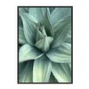 shumee PLAKAT V OKVIRJU 53x73 cm Listi P1035