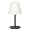 RABALUX Spoljna podna lampa E27 Lida 8658 crna