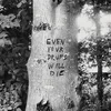 Richard Swift - Even Your Drums Will Die - Live At Pendarvis Farm 2011 (LP)