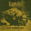 Larvae - Acid Horror Cult (LP)