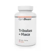 GymBeam Tribulus + Maca