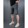 Denistar Muški šorts 100-2842, Regular, Sivi