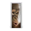 tulup.si Nalepka na vratih Mlad orangutan 75x205 cm