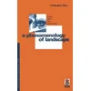 Phenomenology of Landscape