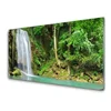 tulup.si Slika na steklu Forest slap narava 120x60 cm 4 obešalnika