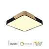 Plafonska lampa F2812-20C BK+WD